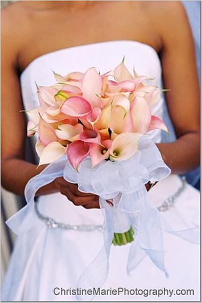 ????????? ????? 12