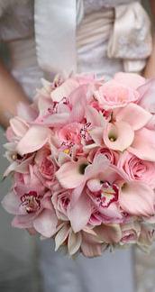 ????????? ????? 160