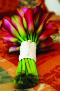 ????????? ????? 3244