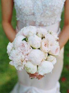 ????????? ????? 3851