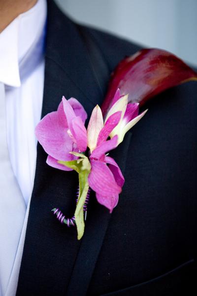????????? ????? 4956
