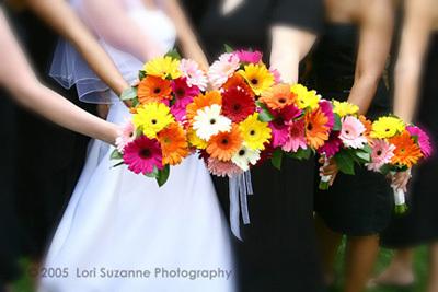 ????????? ????? 5979