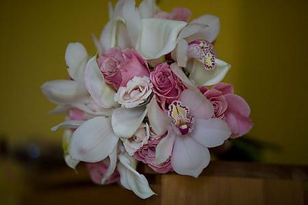 ????????? ????? 6230