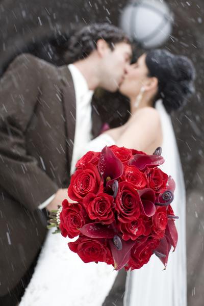????????? ????? 10777