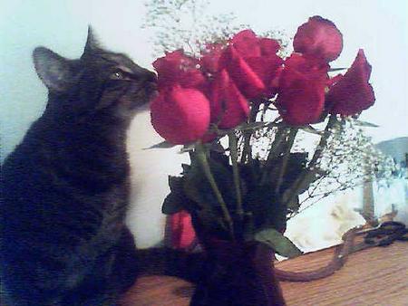 ????????? ????? 10923