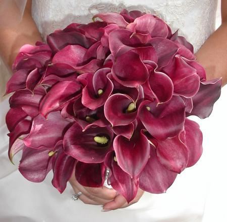 ????????? ????? 11065