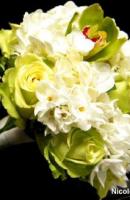 ????????? ????? 222