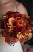 ????????? ????? 488