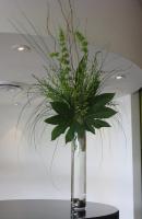 ????????? ????? 2533