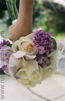 ????????? ????? 4350