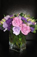 ????????? ????? 4614