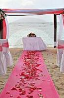 ????????? ????? 6446