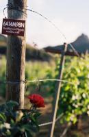 ????????? ????? 6665