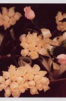 ????????? ????? 7589