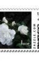 ????????? ????? 7770