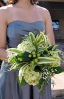 ????????? ????? 9152