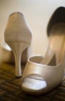 ????????? ????? 484